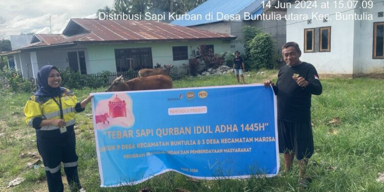 Jelang Hari Raya Idul Adha, Pani Gold Projec Bagikan Hewan Kurban Ke Sejumlah Desa dan Instansi
