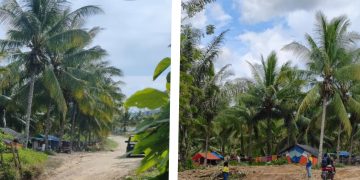 Tingkatkan Infrastruktur, Pani Gold Mine Perbaiki Jalan dan Pasang Gorong-Gorong di Desa Hulawa