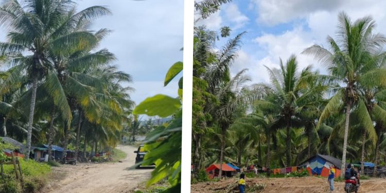 Tingkatkan Infrastruktur, Pani Gold Mine Perbaiki Jalan dan Pasang Gorong-Gorong di Desa Hulawa