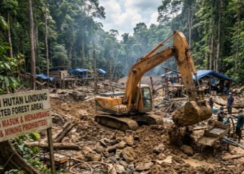 LSM Pohuwato Watch Soroti PETI di Hutan Lindung, APH Diminta Tangkap Aktor Pemodal