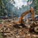 LSM Pohuwato Watch Soroti PETI di Hutan Lindung, APH Diminta Tangkap Aktor Pemodal